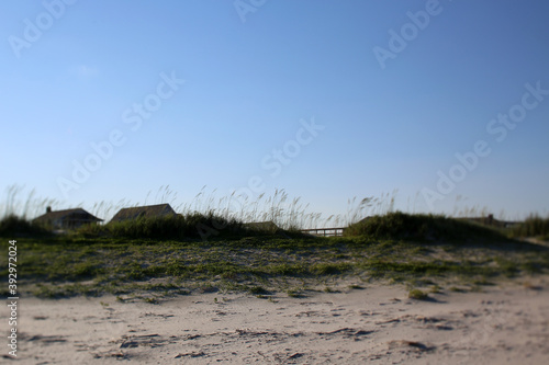 Looking Across Pawleys Island, South Carolina photo