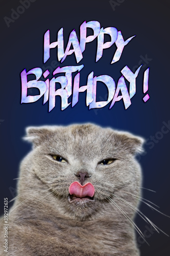 gray cat licks lips on dark blue background. Greeting card with text in watercolor happy birthday