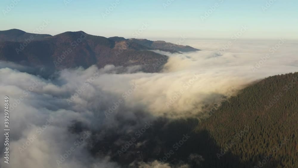 Fog in the intermountains of the mountain tops covered with autumn coniferous forest Fog in the intermountains of the mountain tops covered with autumn coniferous forest