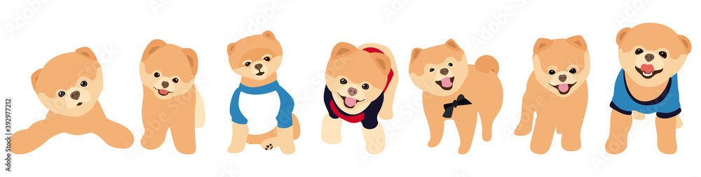 Vector image. The picture shows how Spitz dogs are drawn by hand. Suitable for coloring book, pet shop or pet lovers. Fluffy tails and beige fur. Vector image. The picture shows how Spitz dogs are drawn by hand. Suitable for coloring book, pet shop or pet lovers. Fluffy tails and beige fur.