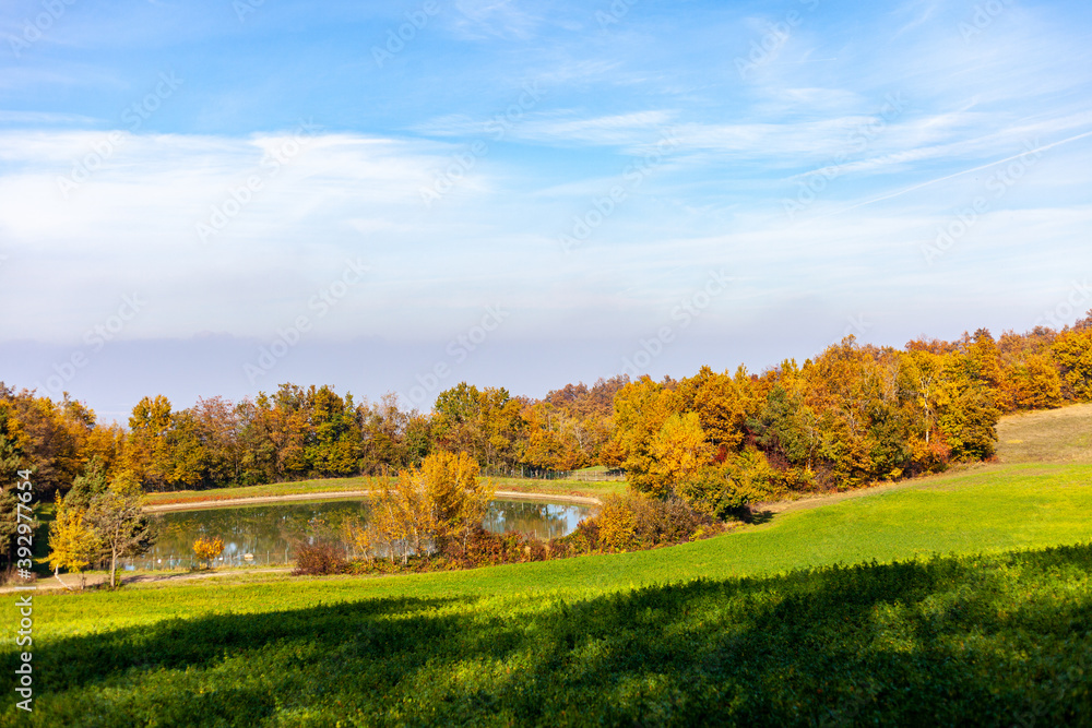 Paesaggio autunnale con un prato verde e alberi coloratissimi durante l'autunno