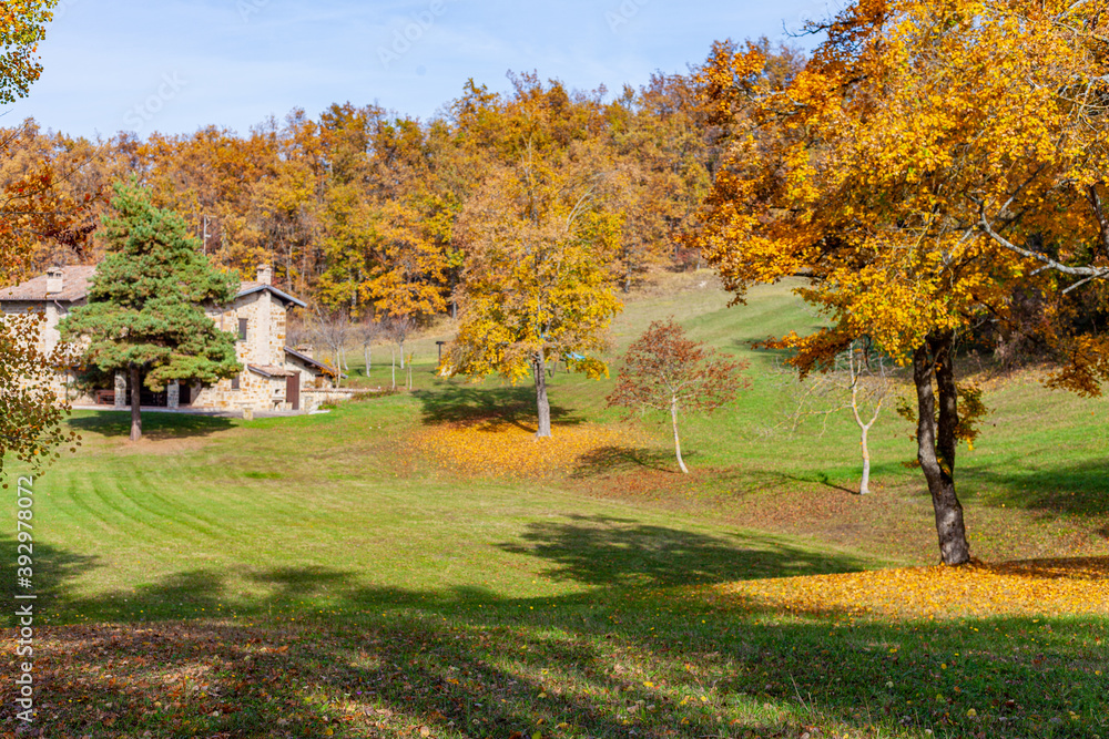 Una casa di montagna con prato verde e alberi coloratissimi durante l'autunno