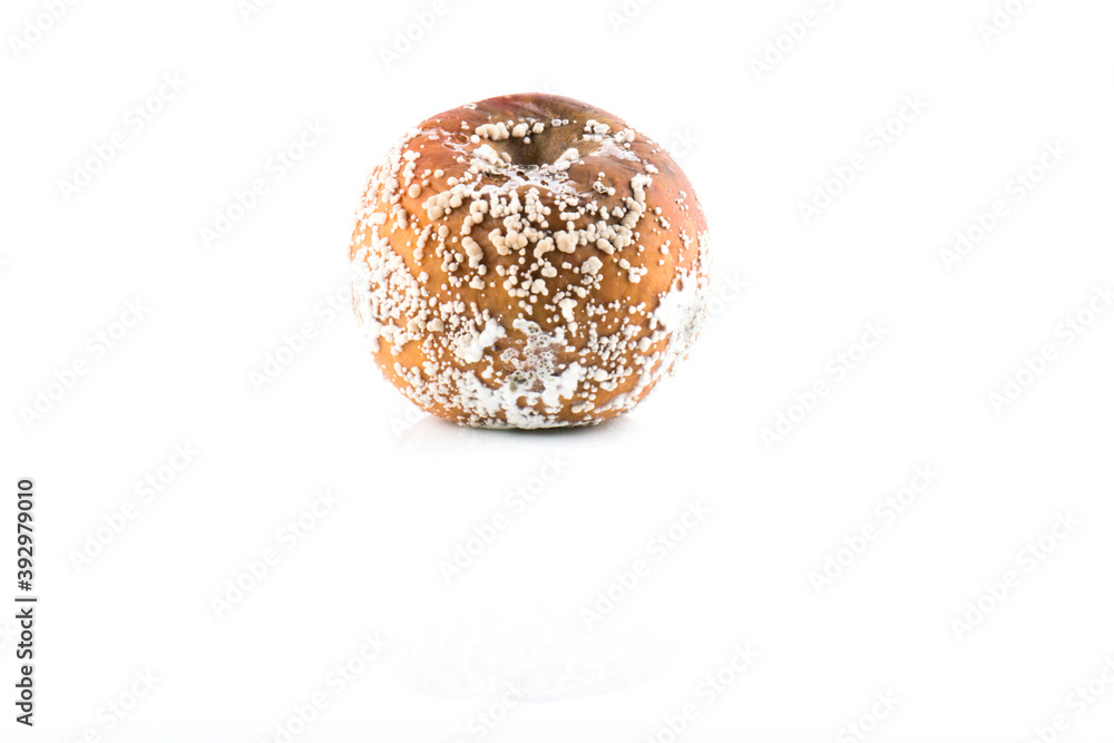 A rotten apple on white background A rotten apple on white background