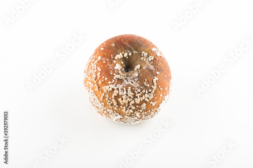 A rotten apple on white background