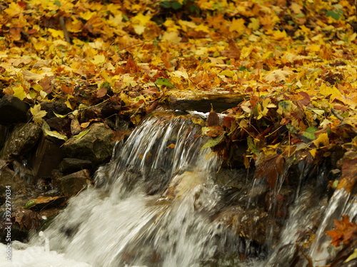 Outdoor vibes in jena into nature at autumn photo