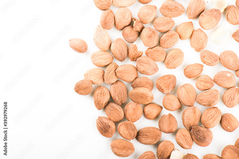 apricot kernel isolated on white background apricot kernel isolated on white background