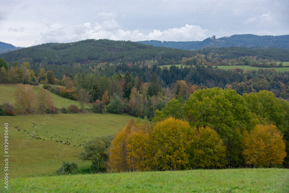 View to valley from Vatetice, Sumava national park, Czech republic
