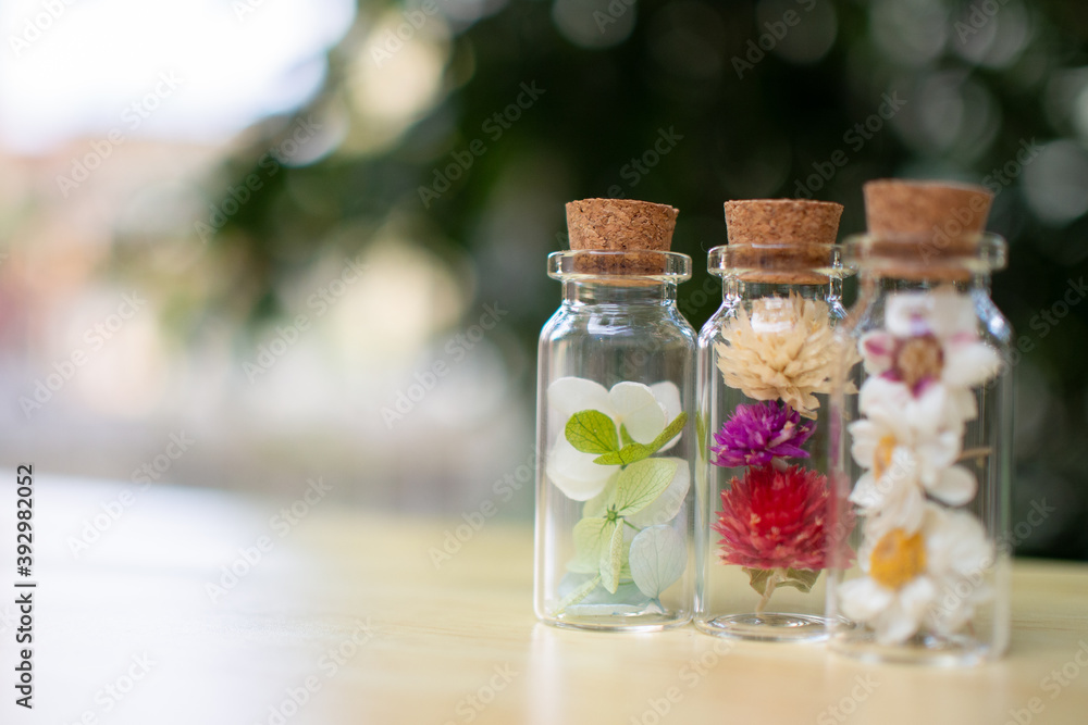 写真素材　ドライフラワーとプリザーブドフラワー