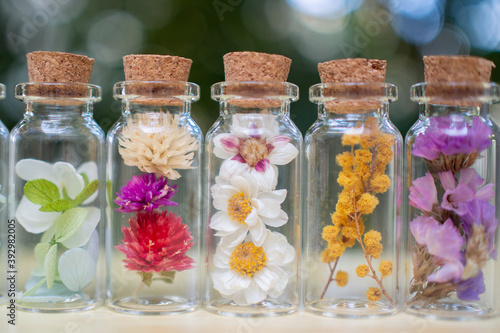 写真素材　ドライフラワーとプリザーブドフラワー