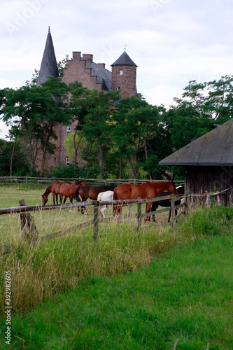 Burg Binsfeld, historische Wasserburg photo