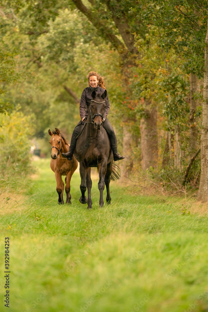 Fototapeta premium Young woman riding without saddle on her beautiful brown mare, yellow foal next to them, in the autumn forest