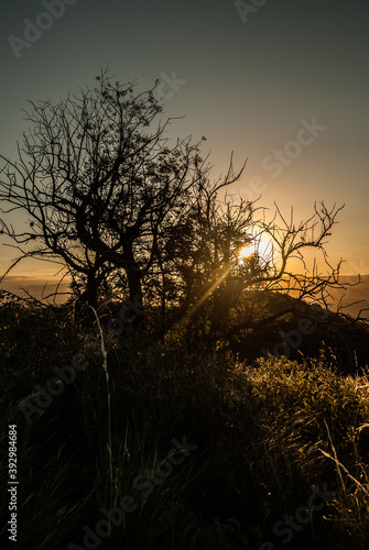 Atardecer en el cerro photo