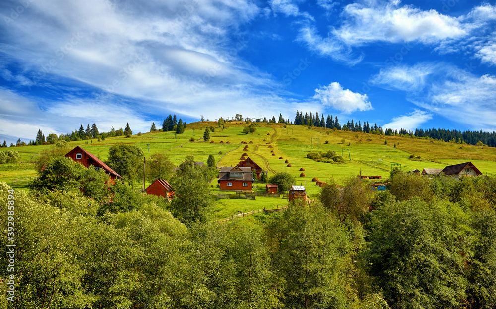 Naklejka premium Summer landscape, rural houses on the slope of green mountains, against the background of a blue sky with clouds, trees and fir trees