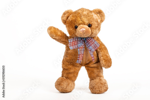 Teddy bear stopped on white background.