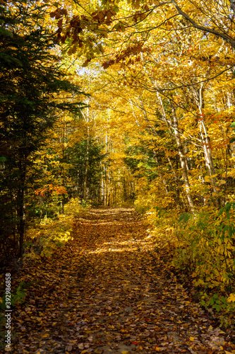 "The Crack" is one of the most famous and beautiful hiking trail in Ontario. During fall it offers an incredible hike in a beautiful forest, then a difficult climb to reach a 360 degrees view.