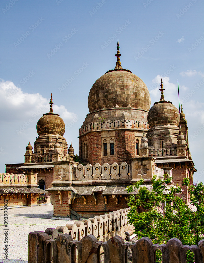 Fototapeta premium Indian palace with domes in Gujarat
