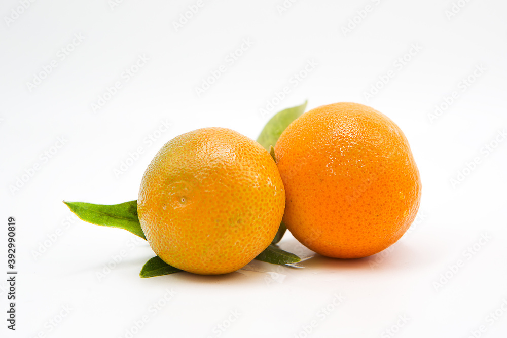Ripe fresh tangerines on a branch with leaves isolated on white background Ripe fresh tangerines on a branch with leaves isolated on white background