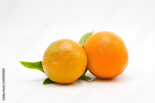 Ripe fresh tangerines on a branch with leaves isolated on white background