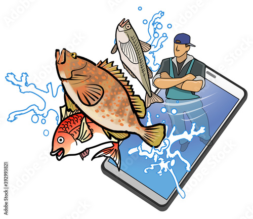 スマートフォンを利用した海鮮の直販