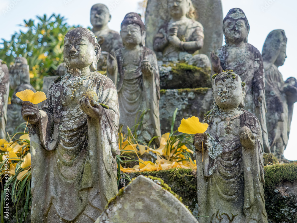 Obraz premium 彩り