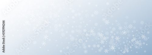 Gray Snowflake Vector Gray Background. Sky  © Natallia