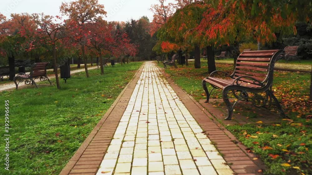 FPV Walk along the Tile Pavement with orange trees in the morning on Autumn cloudy day. POV Walking through the Park on tile track.