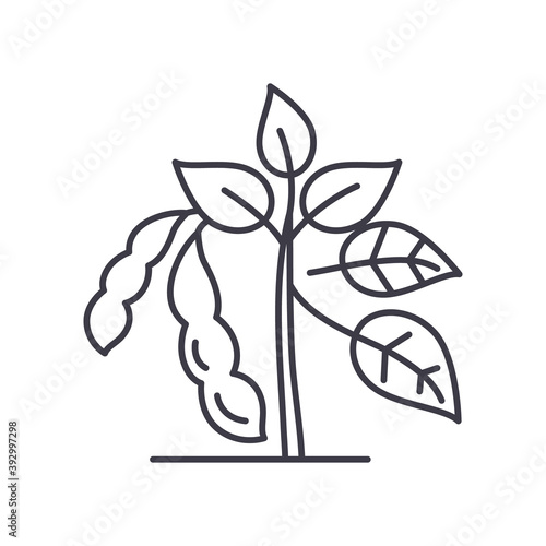 Soybean concept icon, linear isolated illustration, thin line vector, web design sign, outline concept symbol with editable stroke on white background.