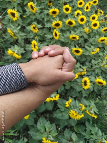 Tomados de la mano, Amor, girasol