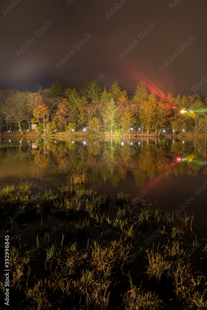 湖に反射した日本のライトアップした紅葉