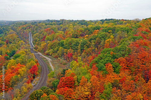 Colorful Fall Foliage in Canada, Aerial View