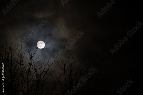 Mond über Herbstwald mit Wolken © guido