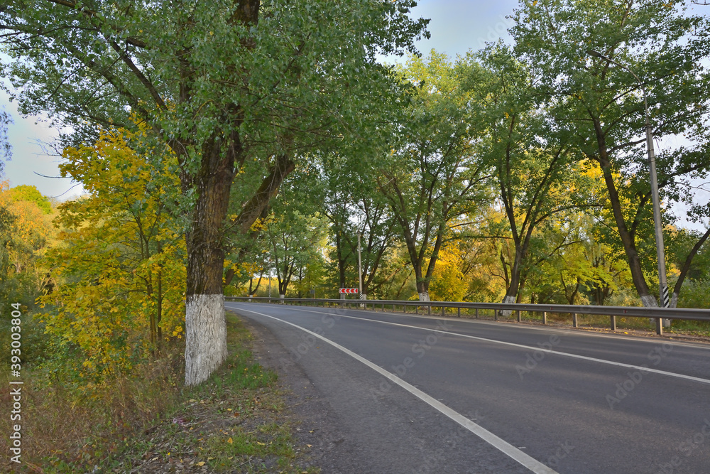 Asphalt road without cars with autumn trees on the sides