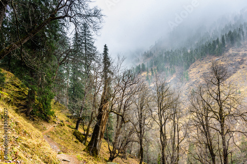Winter lanscape of Parvati valley with mild snowfall at Himachal Pradesh, Inia photo