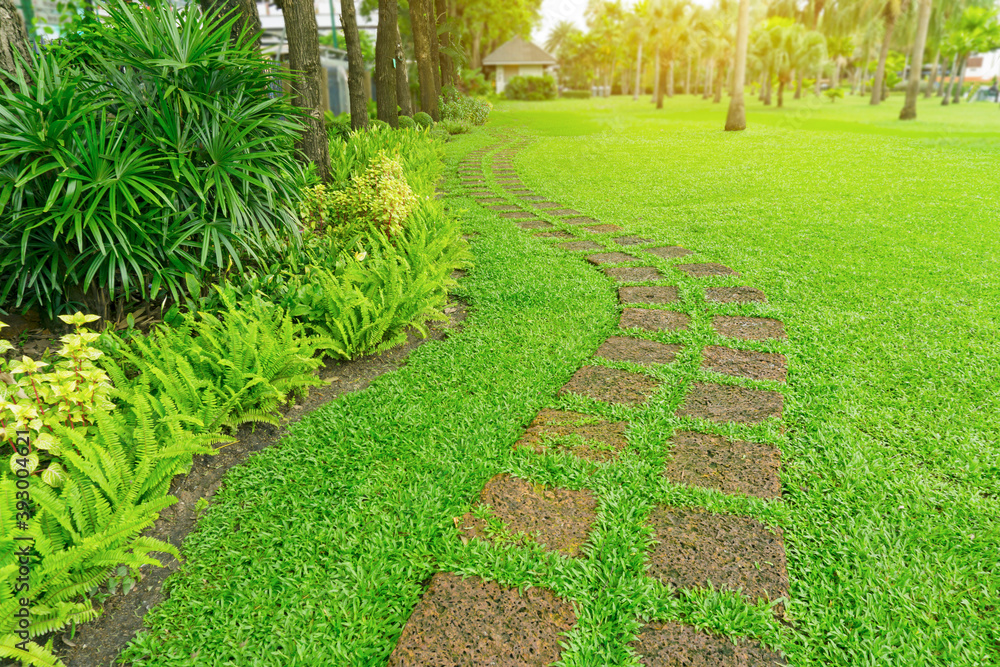 The walkway pattern of stepping stone on green grass lawn yard