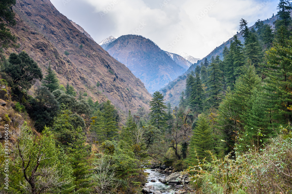 Fototapeta premium The lush green Tirthan valley 