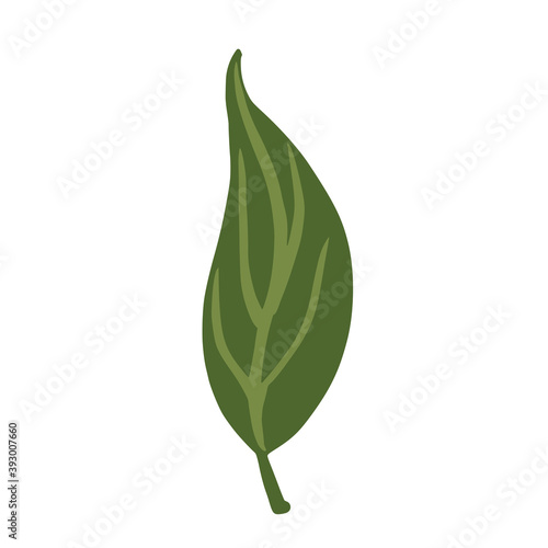 Leaf green color isolated on white background. Scandinavian botanical sketch hand drawn in style doodle.