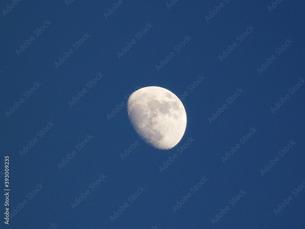 moon in the sky moon in the sky