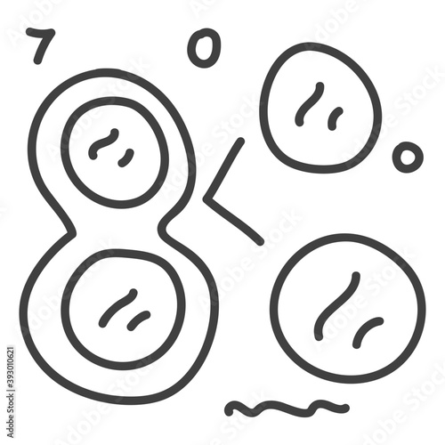 Mitosis 