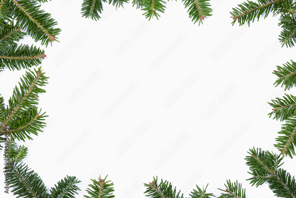 Fir tree branch frame on white Fir tree branch frame on white