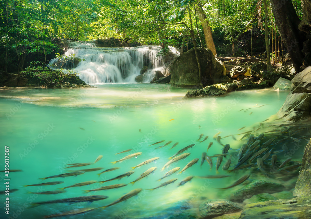 Naklejka premium Erawan Waterfall, Kanchanaburi Province Thailand, natural waterfalls, beautiful green forests, with fish in the water as a foreground.