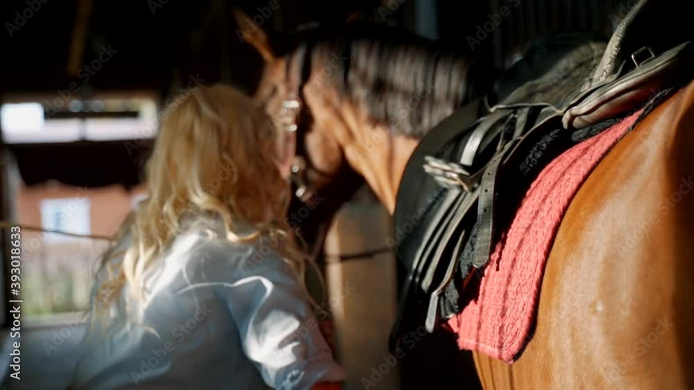 The blonde tightens the straps on the saddle. Horse harness in the stable. The blonde tightens the straps on the saddle. Horse harness in the stable.
