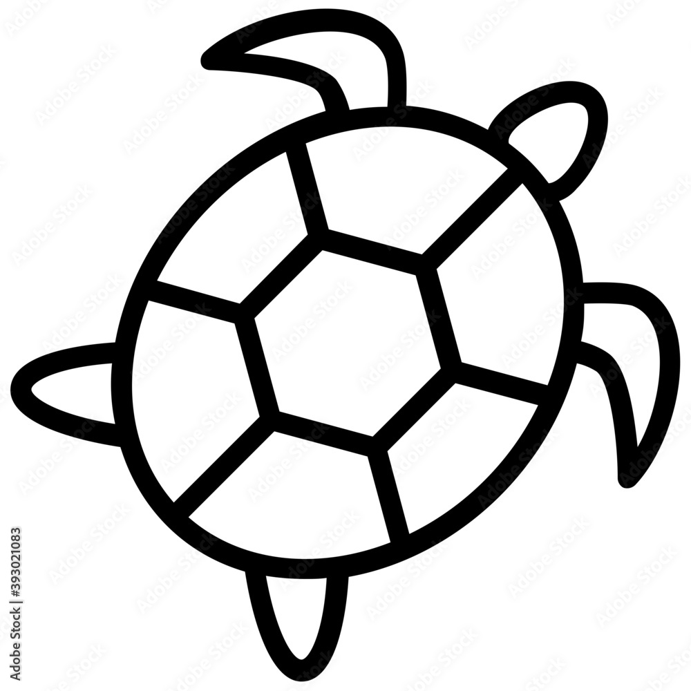 Obraz premium Turtle