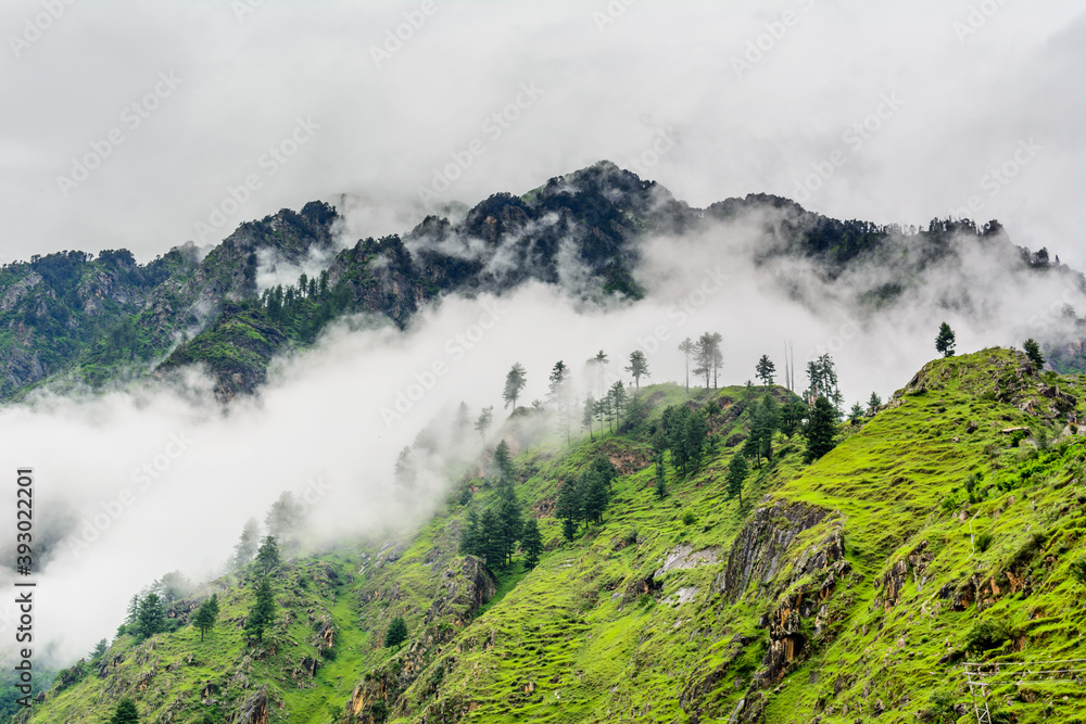 Obraz premium Majestic Himalayan mountains covered with lush green forest and clouds in monsoon 