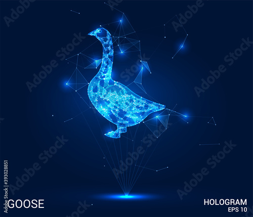 The goose hologram. A goose made up of polygons, triangles, points, and lines. Goose low poly compound structure. The technology concept.