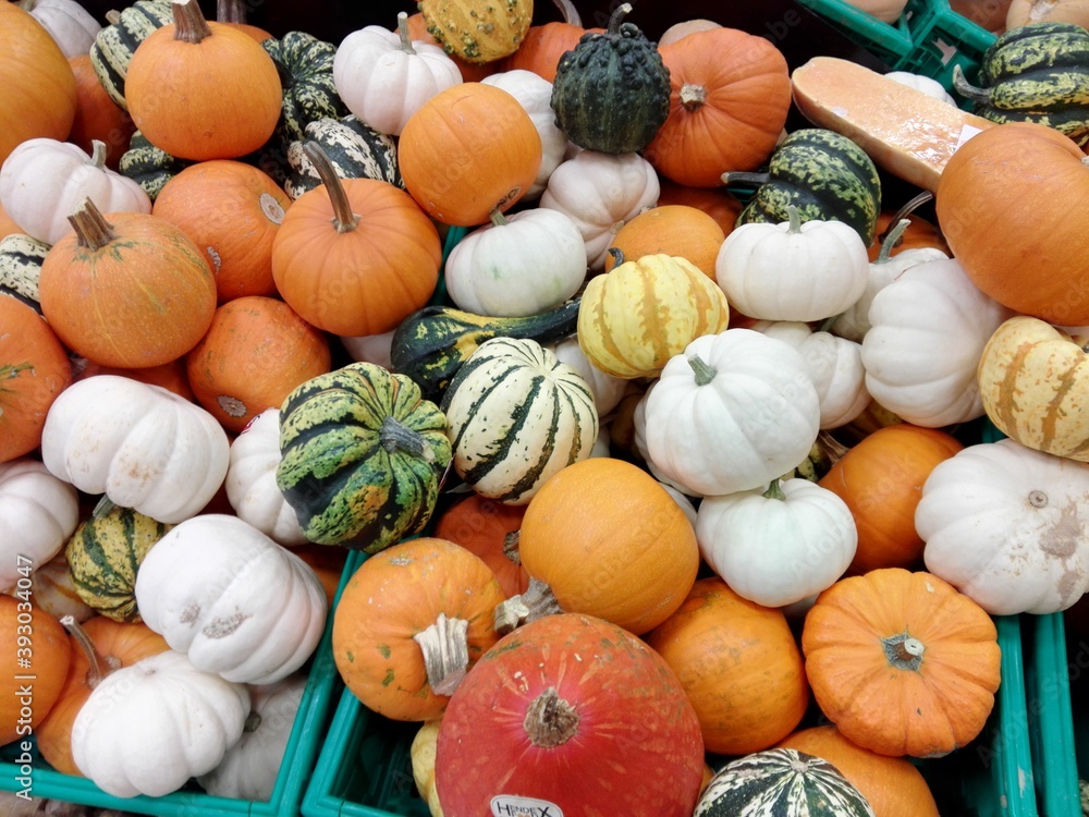 pumpkins in a market