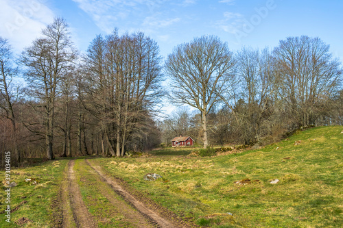 Dirt road in a rural landscape with a red cottage