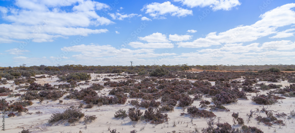 Landscape on the shores of Lake Johnston, Norseman, Western Australia Landscape on the shores of Lake Johnston, Norseman, Western Australia