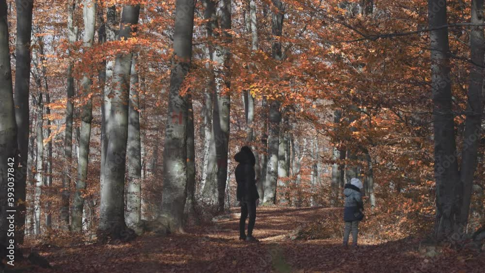 Mother and little daughter talking a walk in the forest during a sunny autumn day Mother and little daughter talking a walk in the forest during a sunny autumn day