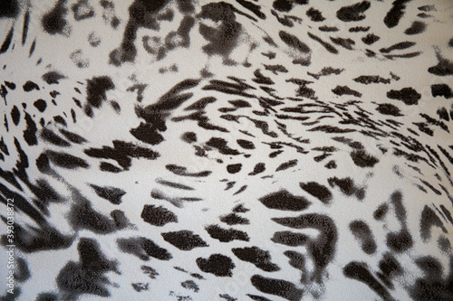 Black and white abstract camouflage. The concealment pattern on a fabric. Conception of winter masking.