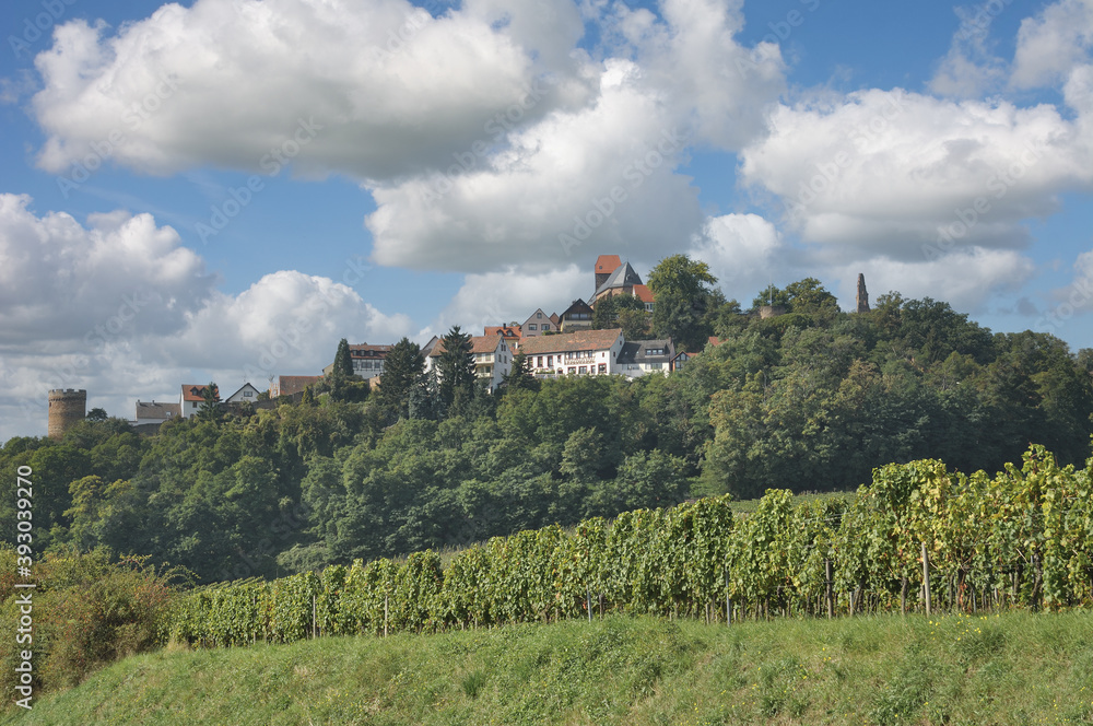 Weinort Neuleiningen in der Pfalz,Deutschland